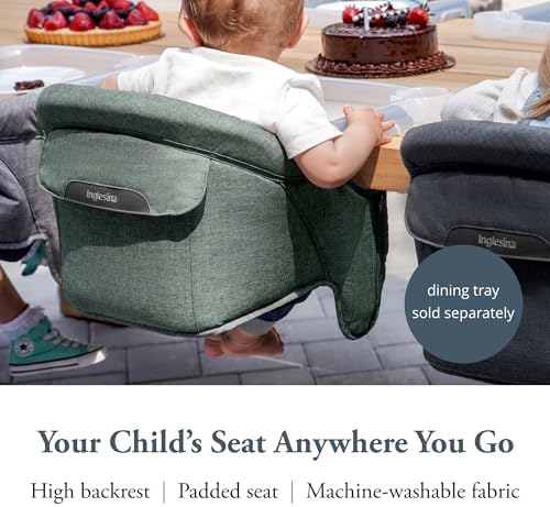 Inglesina Fast Table Chair, Pine Green Melange - Portable Baby High Chair - for Babies & Toddlers up to 37 lbs - Fits Tables 0.8'' to 3.5'' Thick - Compact & Easy to Use - Travel Bag Included - Image 2