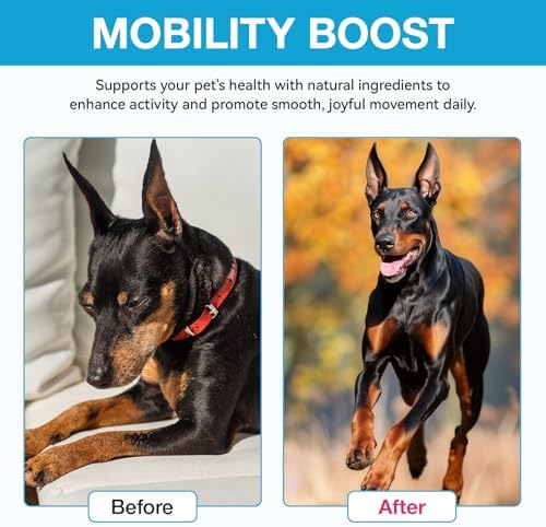Pain Relief for Dogs, Hip & Joint Glucosamine Drops, Chondroitin Drops for Dogs, Natural Formula with Essential Nutrients for Active & Aging Dog, 60ml - Image 5