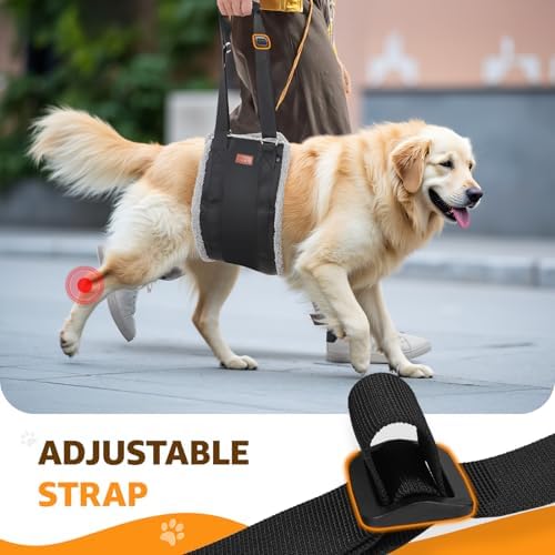 Adjustable Dog Sling for Extra Large Dogs Mobility Aid for Weak Rear Legs - Image 7