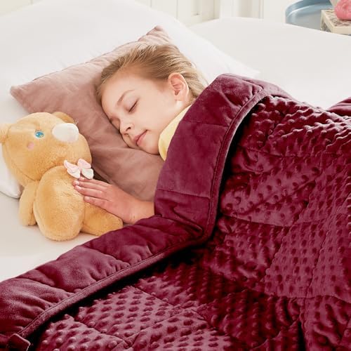 Weighted Blanket - 2 lbs Burgundy Minky Heavy Blanket, 36"x48", Small Size Breathable Lap Blanket by HOSUKKO