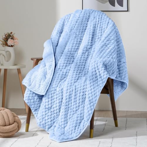 Fleece Weighted Blanket for Adults 60" x 80" 20lbs Fuzzy Blankets, Blue by WemoreDirect