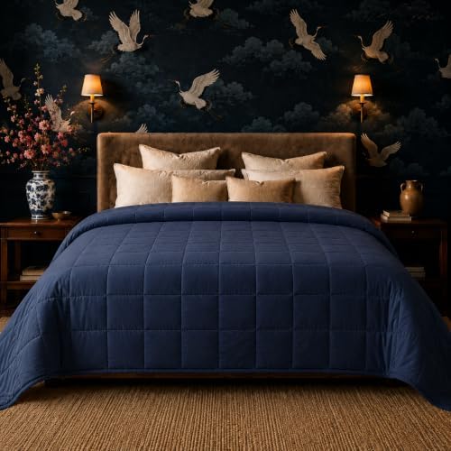 HomeSmart Queen Size Weighted Blanket 30 lbs - Breathable Ultra Soft Fabric by HomeSmartProducts