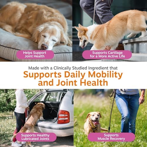 Zesty Paws Glucosamine for Dogs - Dog Joint Supplement, Bacon, 90 Ct - Image 5