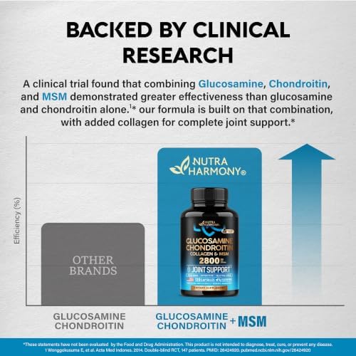 Glucosamine Chondroitin MSM Collagen - Joint Supplements 2800 mg - 120 Caps - Image 6