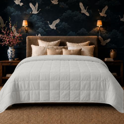 HomeSmart Weighted Blanket Queen Size 50 lb - The Heaviest Weighted Blanket by HomeSmartProducts