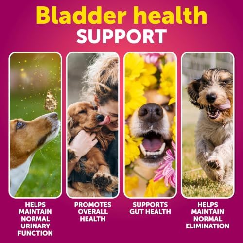 Cranberry Chews for Dogs - Dog Cranberry Supplement for Urinary Health - Image 2