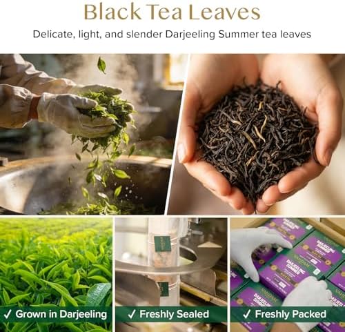 VAHDAM Darjeeling Tea Bags (100 Count) Black Tea in Pyramid Tea Bags - Image 2