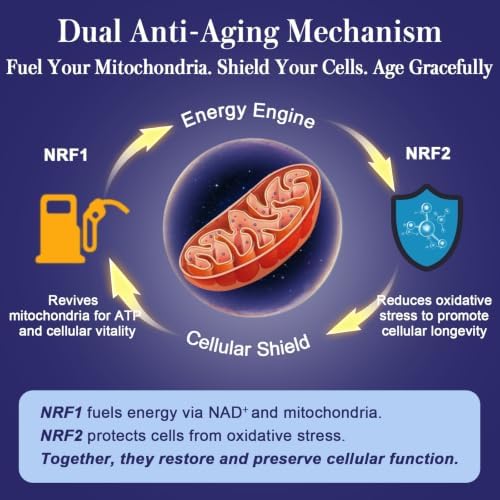 NRF1 & NRF2 Supplement 1500mg | Dual Pathway Antioxidant Formula with CoQ10, Curcumin, Trans-Resveratrol & Ashwagandha | Cellular Energy & Wellness Aging | 120 Capsules - Image 5