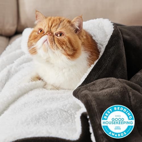 Bedsure GentleSoft Sherpa Fleece Throw Blanket for Couch, Non-Heated, Thick and Warm Throw for Women and Men, Soft Fuzzy Plush Blanket for Winter, Brown, 50x60 Inches - Image 2