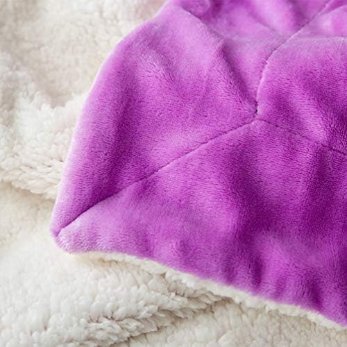 LBRO2M Sherpa Fleece Bed Blanket Super Soft Plush Warm Throw Twin 65"X90" - Image 5