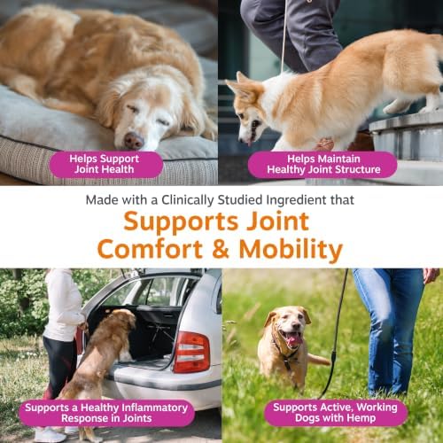 Zesty Paws Glucosamine for Dogs - Dog Joint Supplement + Hemp, Chicken 90ct - Image 5