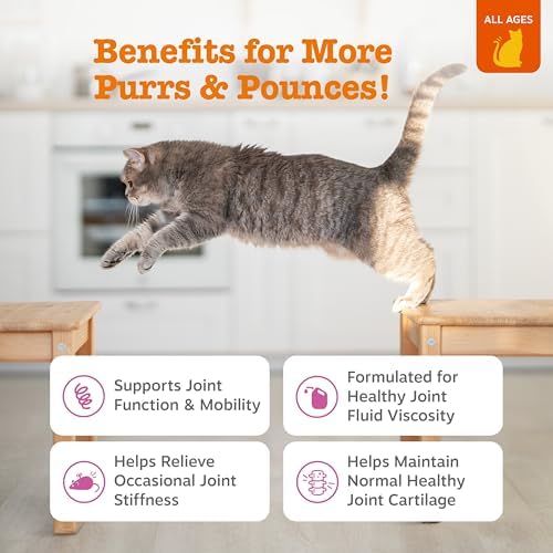 Zesty Paws Cat Joint Supplement - Glucosamine for Cats, Chicken, 60 Ct - Image 2