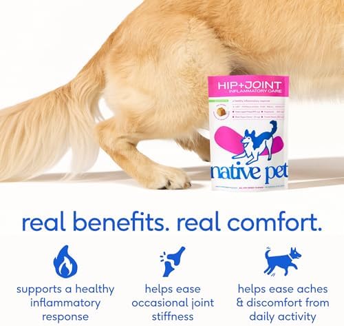 Native Pet Inflammatory Care - Pain Relief for Dogs - Green-Lipped Mussel, Turmeric & Collagen for Dogs - Hip and Joint Supplement Supports Healthy Inflammatory Response & Joint Comfort - 60 Chews - Image 3