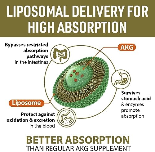 Liposomal Calcium AKG Supplement 1500 MG (Alpha-Ketoglutaric Acid), High Absorption, More Effective Than AAKG, Ca AKG for Longevity, Age Defense, Cellular Energy, Metabolic Function, 120 Softgels - Image 3