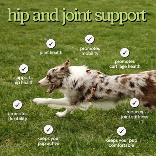 Premium Glucosamine For Dogs – Advanced Hip & Joint Supplement With Glucosamine Chondroitin For Dogs Flexibility, Mobility & Relief – Hip & Joint Supplement With Collagen & MSM – 120 Chews - Image 6