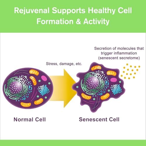 Rejuvenal - Supports Healthy Aging, Longevity, Cellular Energy, Brain, Skin - Image 3