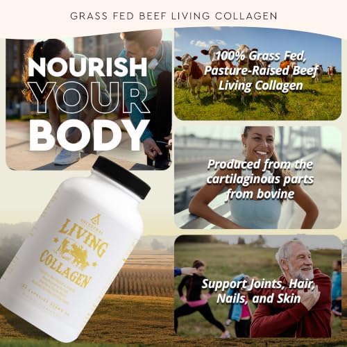Ancestral Supplements Grass Fed Beef Living Collagen Capsules, 180 Ct - Image 3