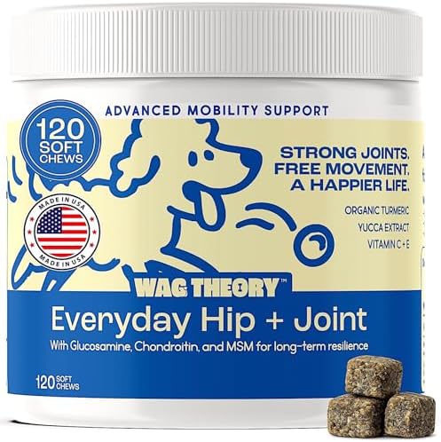 Hip & Joint Supplement for Dogs – Glucosamine Chondroitin MSM – Dog Joint Supplement & Mobility Support Chews with Turmeric & Yucca – Arthritis Support – 120 Soft Chews by Unknown