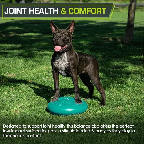 ProsourceFit Core Balance Disc, Inflatable Wobble Cushion with Hand Pump, Dual-Textured Non-Slip Surface for Core, Balance, and Stability Training, 14-inch - Image 6