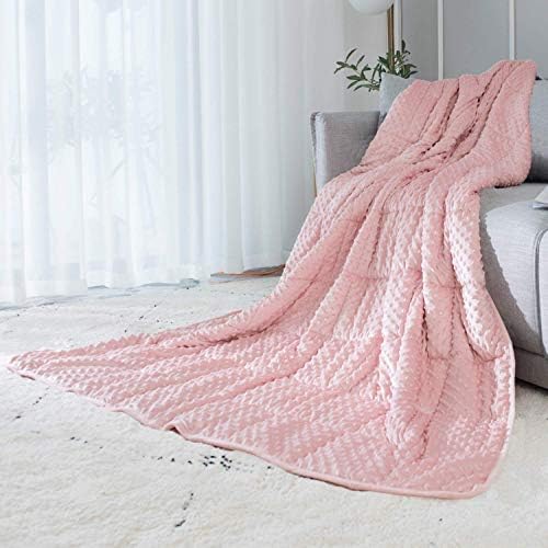 ALANSMA Reversible Weighted Blanket for All Season, Luxury Velvet, Warm and Cool, Adult 15Lb Weighted Blanket, Enjoy Sleeping Anywhere(Pink, 48''x72''15lbs) by ALANSMA