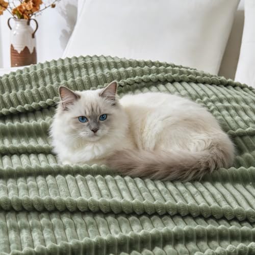 Bnuitland Sage Green Fleece Throw Blanket 90"x90",300GSM Soft Cozy Warm Lightweight Stripe Pattern for Bed Sofa Home Decor,Suitable for Adults Family All Season - Image 7