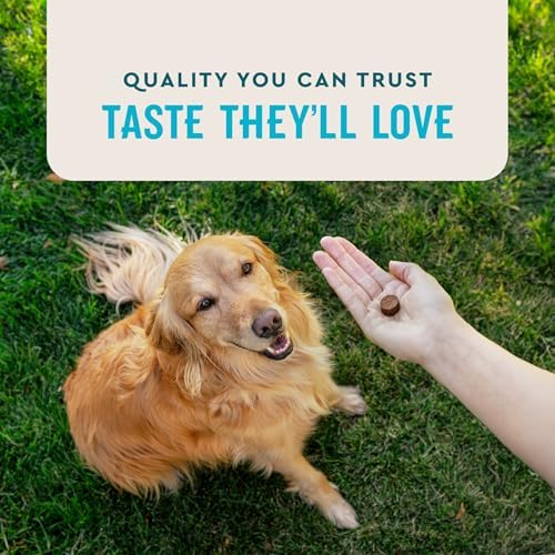 VetIQ Glucosamine Hip & Joint Supplement for Dogs, 60 Soft Chews, Joint Support Supplement with MSM and Krill, Dog Health Supplies Large & Small Breed, Chicken Flavored Chewables - Image 5