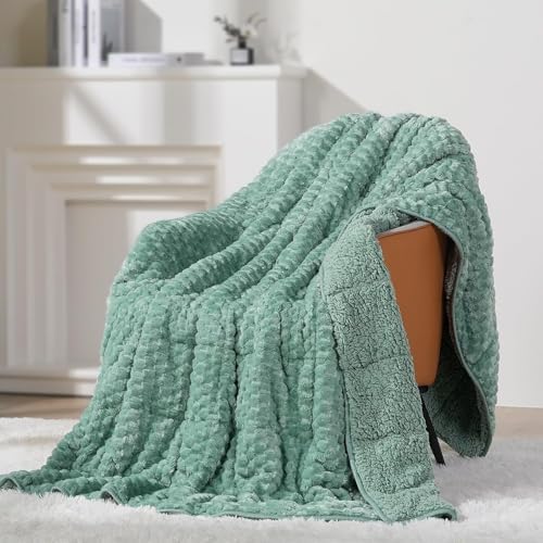 Mr. Sandman Weighted Blankets for Adults, Full Size 48 x 72 Inches, 15lbs by MrSandman