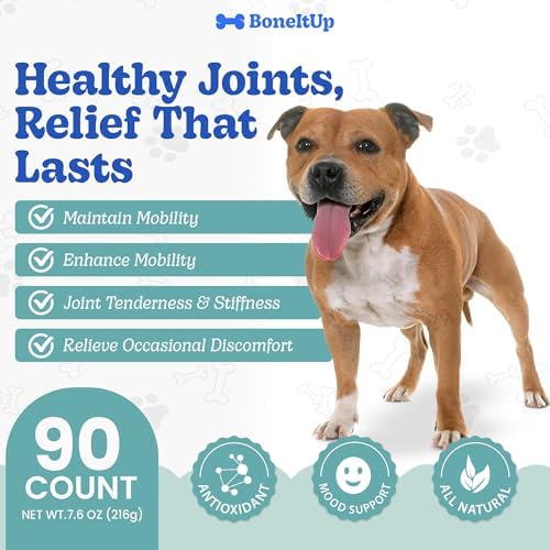 BoneItUp Soft Dog Joint Support Supplement Chews for Aging, Large & Overweight Pets - Glucosamine, Chondroitin, MSM & Omega - Advanced Hip & Joint Supplement for Dogs - Pet Bone Support Treats (90 Ct) - Image 4