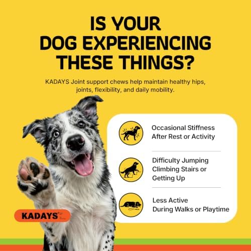 Dog Joint Supplement for Dogs 70ct, Glucosamine Chondroitin for All Dogs - Image 2