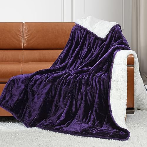 Alomidds Weighted Blanket Twin Size 20lbs 48x72 inches,Sherpa Weighted Blankets for Adults,Fluffy Warm Sherpa & Cozy Soft Flannel Snuggle Thick Heavy Blanket Great for Relaxing,Purple by Alomidds