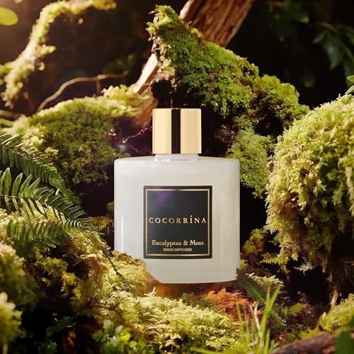 Cocorrína Reed Diffuser Sets- Eucalyptus & Moss Scented Diffuser with Sticks Home Fragrance Reed Diffuser for Bathroom Shelf Decor - Image 3