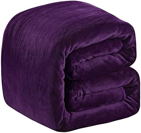 Polar Fleece Blankets Queen Size for The Bed Extra Soft Brush Fabric Super Warm Sofa Blanket 90" x 90"(Purple Queen) by RICHAVE
