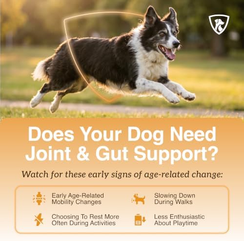 NutraRegen Select Optima Dog Joint Supplement for Senior Dogs – Glucosamine, Chondroitin & MSM + Probiotics & Prebiotics – Mobility, Joint & Digestive Health – 60 Scoops - Image 4