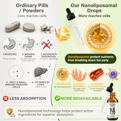 Longevity Supplement for Dogs, Senior Dog Supplements with NMN, NAD+, CoQ10 & Resveratrol - Nanoliposomal Liquid Drops for Joint Support, Heart Health & Healthy Aging - 60ml - Image 3