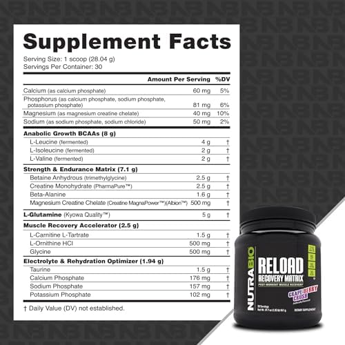 NutraBio Reload - Powerful Muscular Recovery Formula - Post-Workout Supplement - 3G Creatine - 8G BCAAs - 5G Glutamine - 30 Servings, Grape Berry Crush - Image 2