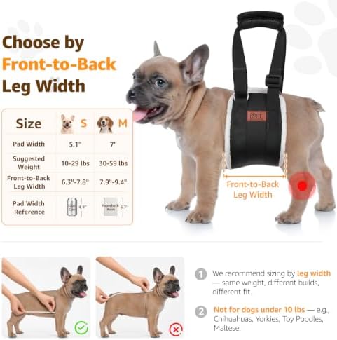 Adjustable Dog Lift Harness for Small Dogs Hind Leg Support Weak Legs Aid - Image 3