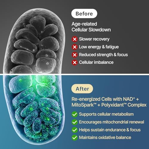 NAD+ NMN Alternative, Liposomal Formula, 60 Softgels - Image 3