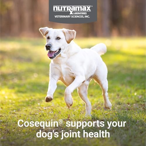 Nutramax Cosequin for Dogs Joint Health Supplement, Contains Glucosamine for Dogs, Plus Chondroitin and MSM, Supports Healthy Joints, for All Breeds and Sizes, Chewable Tablets, 132 Count (Pack of 2) - Image 3