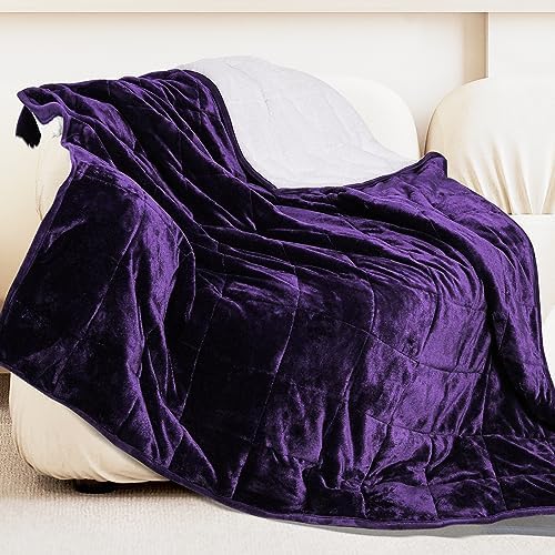 Alomidds Weighted Blanket for Adult Queen Size 20lbs 60 x 80 inches,Weighted Blankets with Soft Plush Fleece,Fluffy Thick Warm Sherpa & Cozy Flannel Heavy Blanket for Sofa Bed,Purple by Alomidds