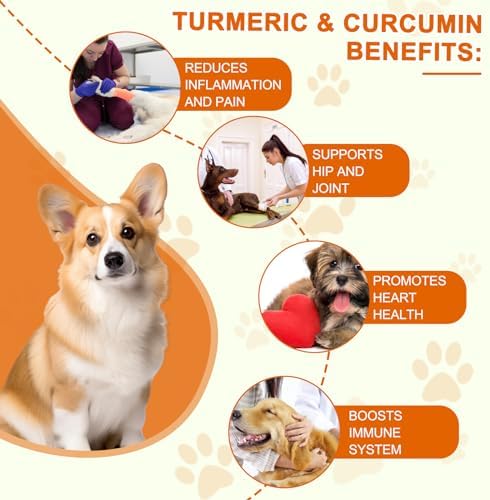 Turmeric for Dogs, 180 Turmeric Curcumin Tablets Supports Heart, Immune System Booster, Hip & Joint Support, Dog Pain Relief, Pet Supplement Treats for All Breeds Dogs & Ages - 180 Tablets / 5.1 OZ - Image 3