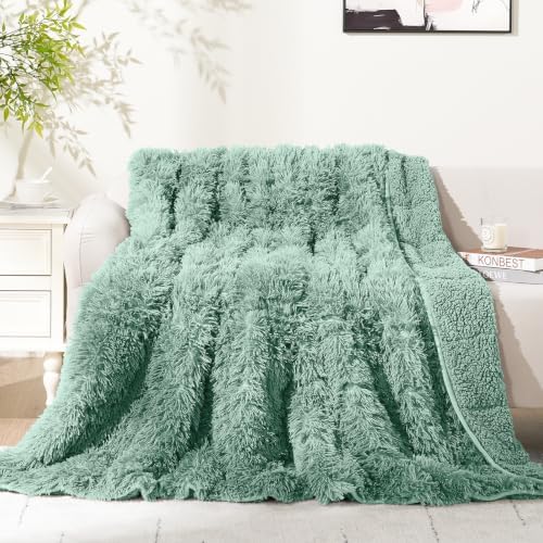Cottonblue Weighted Blanket 15lbs for Adults Twin Size 48x72in Soft Sherpa by Cottonblue