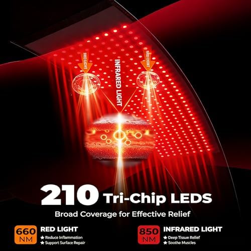 LTW FSA & HSA Eligible Red Light Therapy Belt, 210 LEDs 660/850nm - Image 3