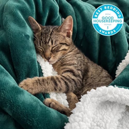 Bedsure GentleSoft Sherpa Fleece Blankets King Size for Bed, Non-Heated, Thick and Warm Throw for Women and Men, Soft Fuzzy Plush King Blanket for Winter, Forest Green, 108x90 Inches - Image 2