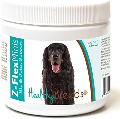 Healthy Breeds Gordon Setter Z-Flex Minis Hip and Joint Support Soft Chews 60 Count by HealthyBreeds