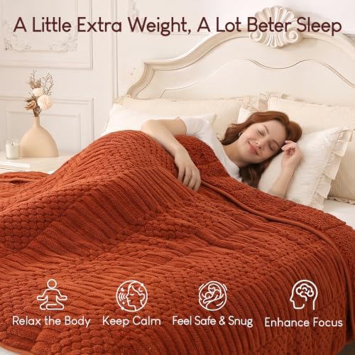 Cottonblue Sherpa Fleece Weighted Blanket 15 lbs for Adults Twin Full Size - Image 2