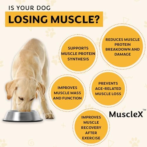 MuscleX™ Canine Muscle Formula Dogs with CaHMB 500 mg and Vitamin D3 - Natural Muscl Building Formula - Helps Reduce Muscle Loss Due to Normal Aging and Improves Recovery from Injury (180 Capsules) - Image 5