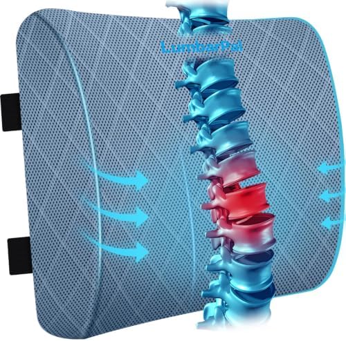 Lumbar Support Pillow for Office Chair, Back Support, Memory Foam by TushGuardSeatCushonsPillows