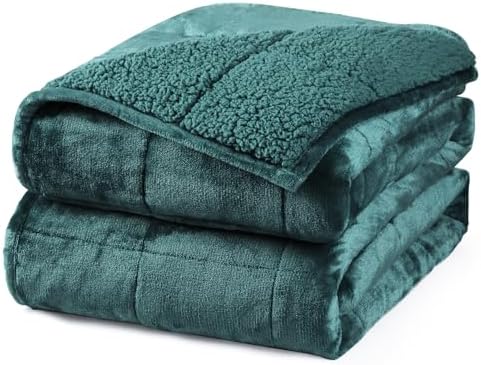 Aemicion Plush Sherpa Weighted Blanket Queen Size 15lbs - Soft Cozy Fleece Heavy Weighted Blanket, Breathable and Washable -Gift for Women Men-Green by Aemicion