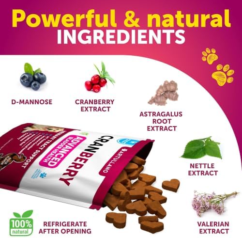 Cranberry Chews for Dogs - Dog Cranberry Supplement for Urinary Health - Image 3