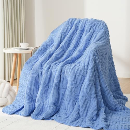 Drewin Weighted Blanket Queen Size 15lbs for Adults,Sky Blue,60" x 80" by Home